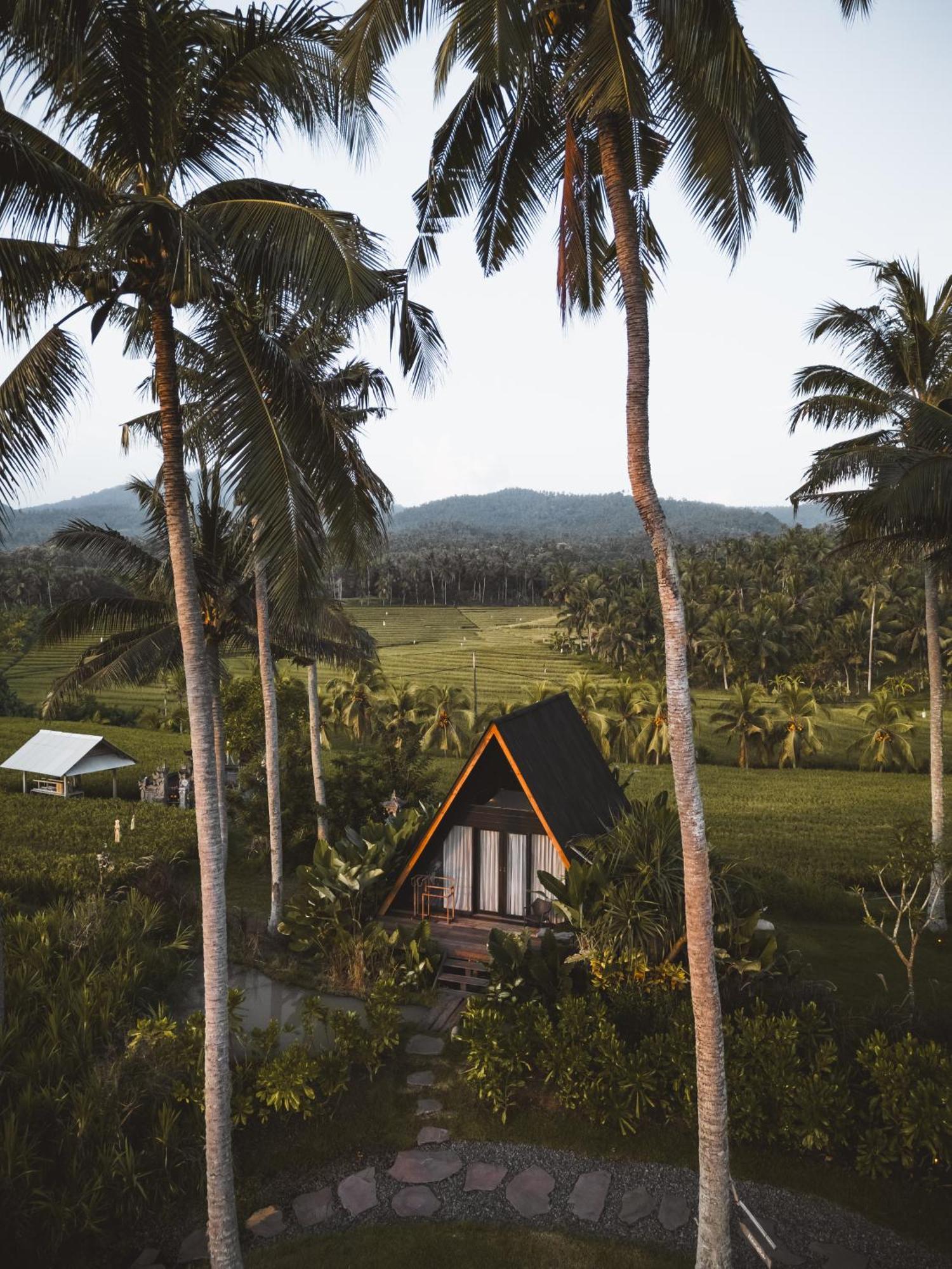 Desa Cabins Balian Extérieur photo